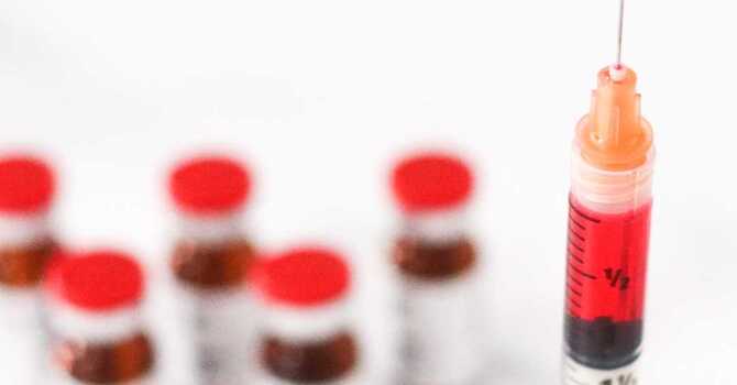 Vitamin B12: The Basics image